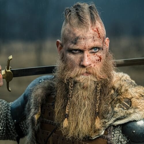 Smaller Viking Beard Braids